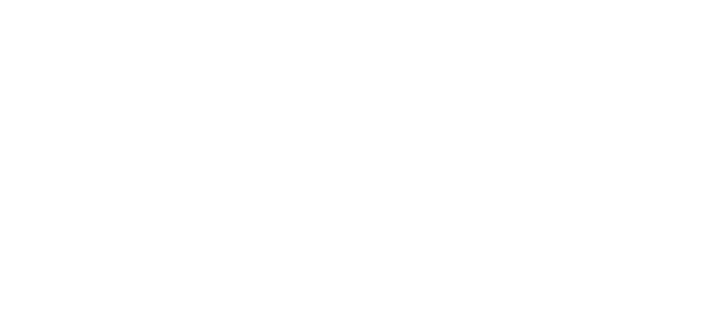 BACH Carcare