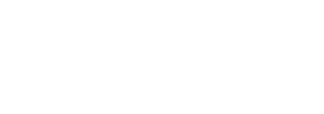 Plænegruppen