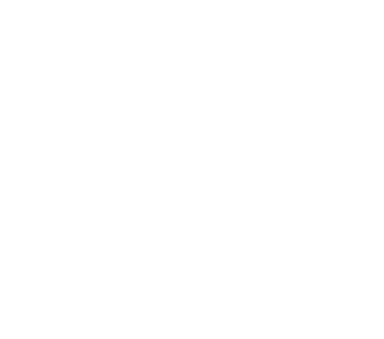 Nordic Limousine